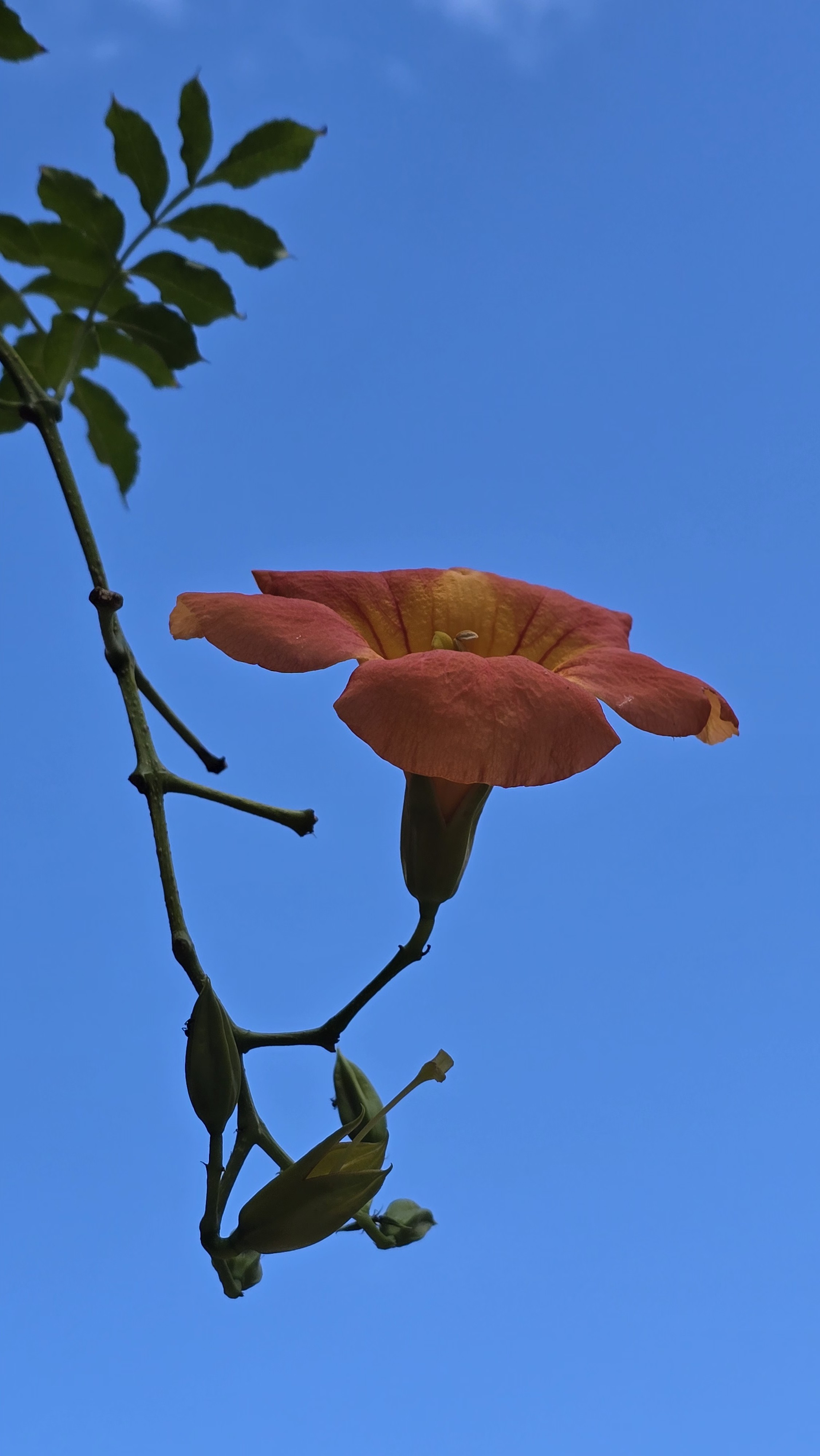 강길원 시인 사진 127